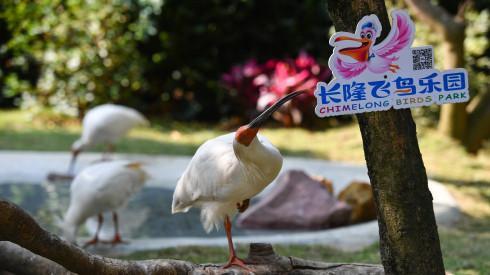 五一出行预测：广州有望成最热门旅游城市 最热门景区在杭州西湖